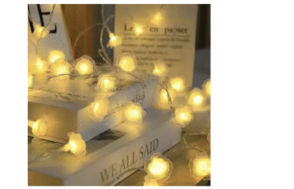 5W Decorative LED Lights (40 metres with Adapter, Multicolour) - DesiDiya